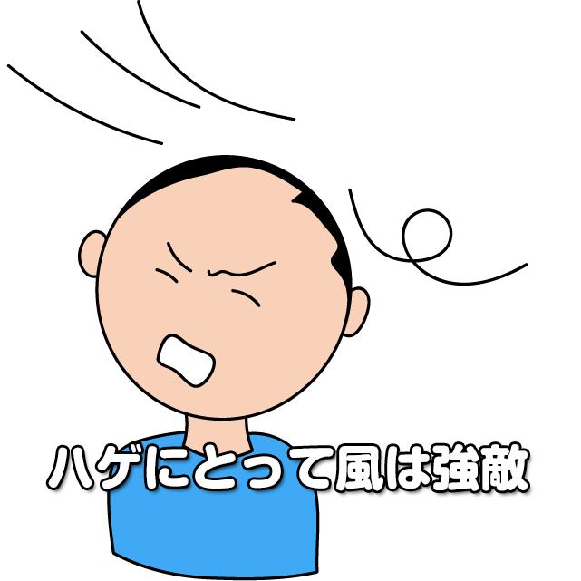 ハゲはなぜ強風を嫌う