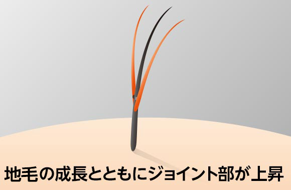 マイへアプラス