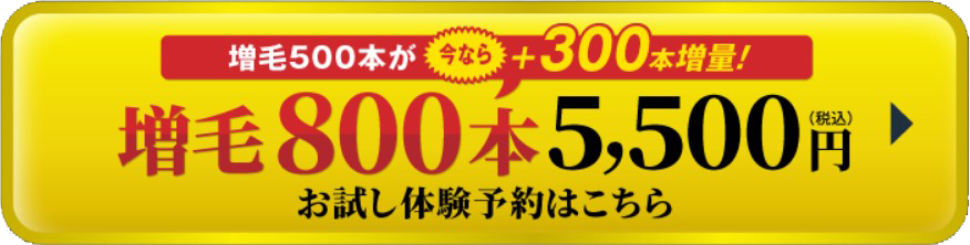 マーププライム・増毛キャンペーン