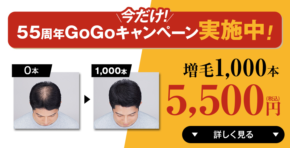 アートネイチャー - 【増毛体験】マープブースト